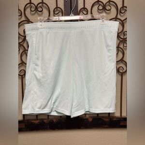 All in Motion Men’s mint mesh shorts